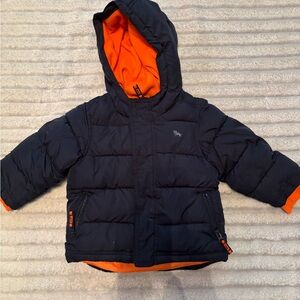 Toddler Navy Blue Hooded Puffer Jacket with Orange Lining